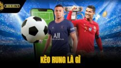 Kèo Rung Là Gì – Đọc Mức Trực Tiếp Trên Socolive